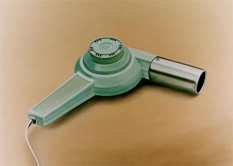 Hairdryer, painting by Teresa Dias Coelho